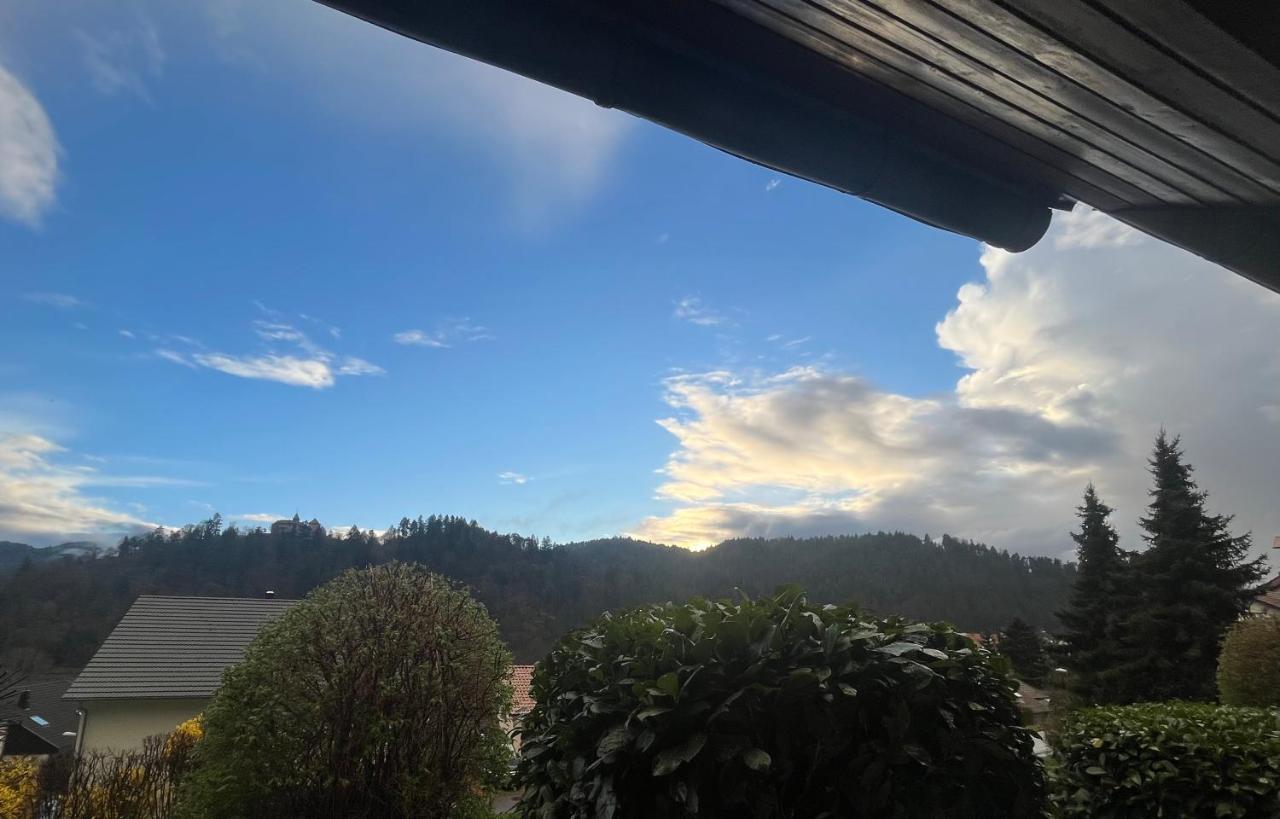 Mira Apartman Gernsbach Kültér fotó